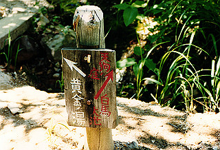 19990810_020_thumb.jpg