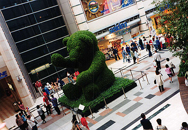20000400_022_thumb.jpg