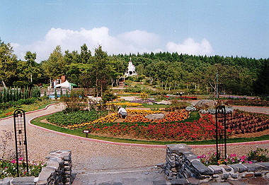 20000827_013_thumb.jpg