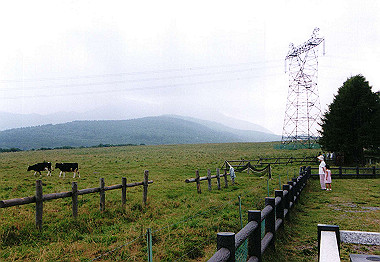 20000827_028_thumb.jpg