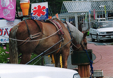 20000827_033_thumb.jpg