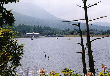 20000828_007_thumb.jpg