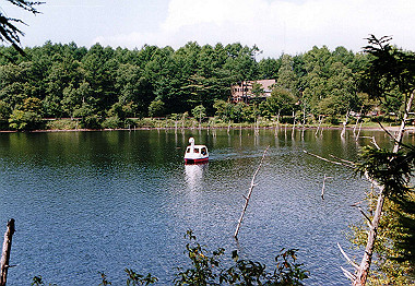 20000828_011_thumb.jpg