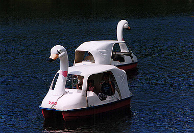 20000828_013_thumb.jpg