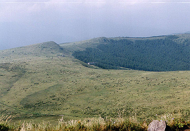 20000828_029_thumb.jpg