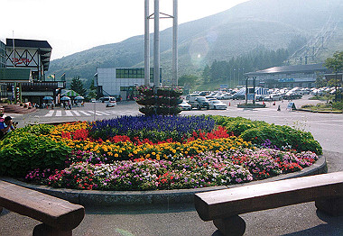 20000828_045_thumb.jpg