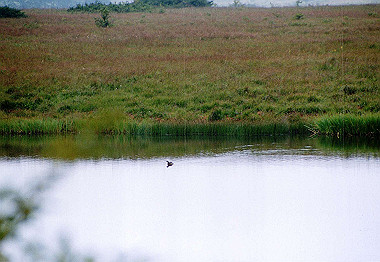 20000829_012_thumb.jpg