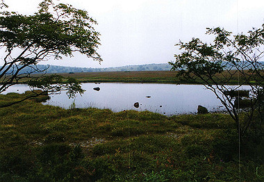 20000829_013_thumb.jpg