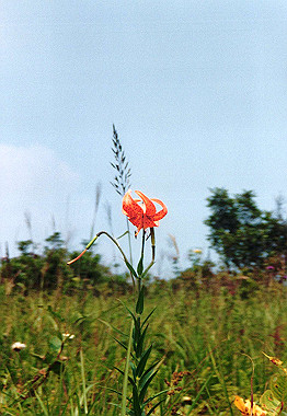 20000829_027_thumb.jpg
