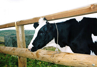 20000829_035_thumb.jpg