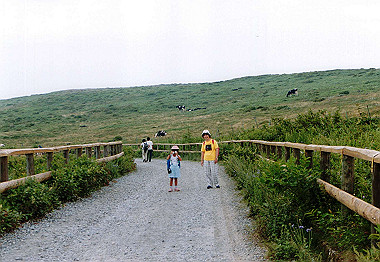 20000829_038_thumb.jpg