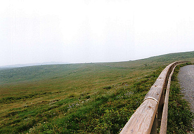 20000829_039_thumb.jpg