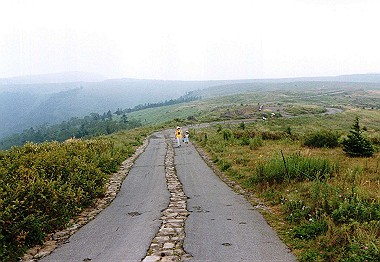 20000829_041_thumb.jpg