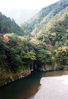 20001100_015_thumb.jpg