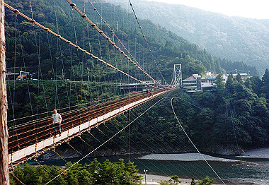 20001100_022_thumb.jpg