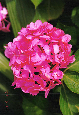 20010617_010_thumb.jpg