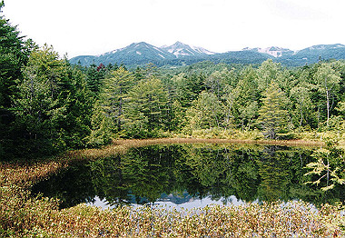 20010820_008_thumb.jpg