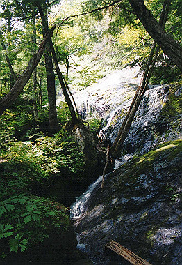20010820_011_thumb.jpg