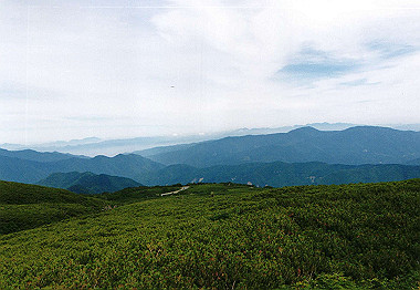 20010820_031_thumb.jpg