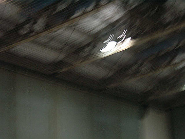 20020200_110_thumb.jpg