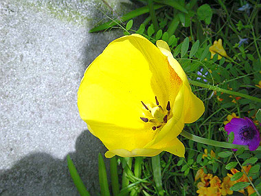 20020503_020_thumb.jpg