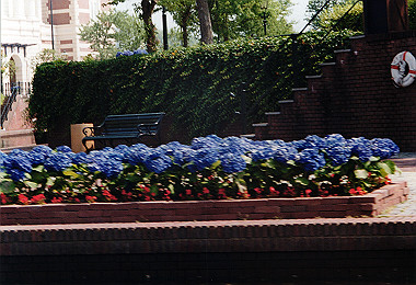 20020609_041_thumb.jpg