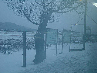 20021225_100_thumb.jpg