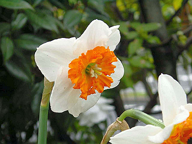 20030406_010_thumb.jpg