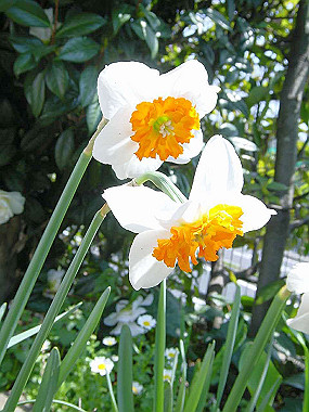 20030406_070_thumb.jpg