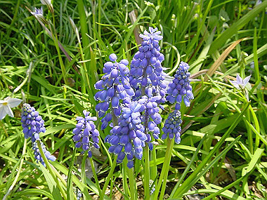 20030406_130_thumb.jpg