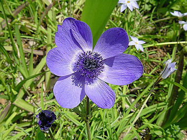 20030406_140_thumb.jpg