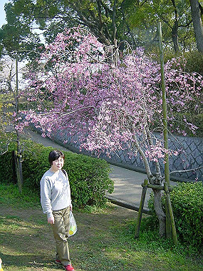 20030406_170_thumb.jpg