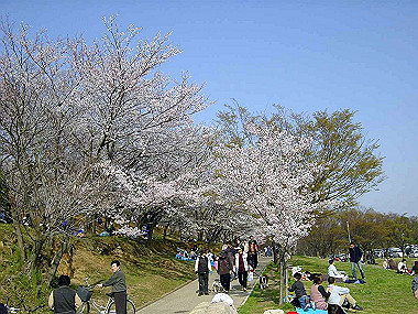20030406_260_thumb.jpg
