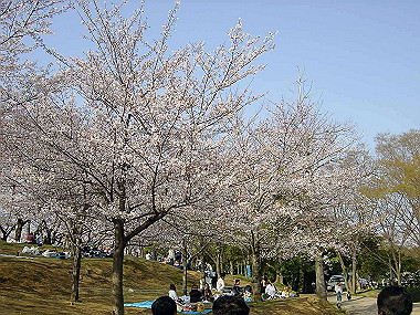 20030406_270_thumb.jpg