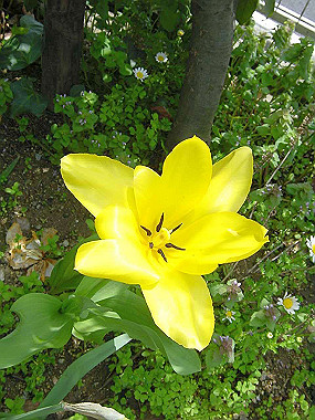 20030422_040_thumb.jpg