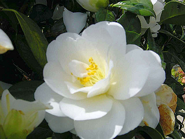 20030422_070_thumb.jpg