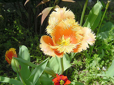20030422_120_thumb.jpg