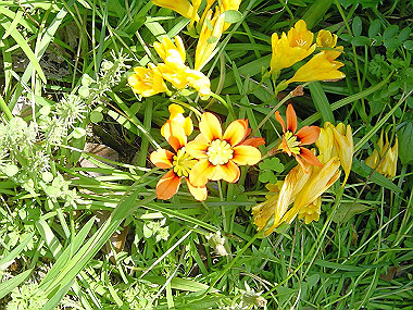 20030422_180_thumb.jpg