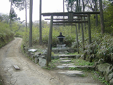 20030504_040_thumb.jpg