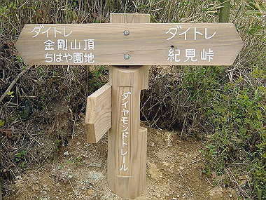 20030504_050_thumb.jpg