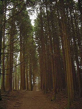 20030504_070_thumb.jpg