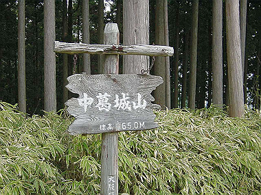20030504_110_thumb.jpg