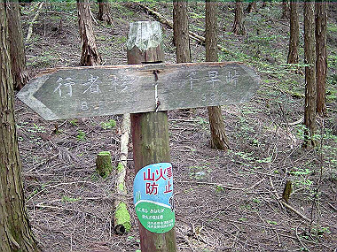 20030504_240_thumb.jpg