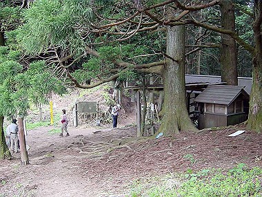 20030504_250_thumb.jpg