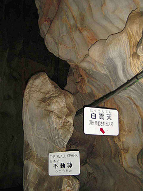 20030524_075_thumb.jpg