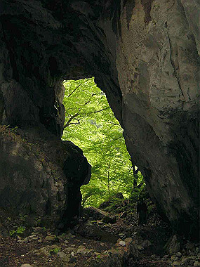 20030524_078_thumb.jpg