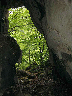 20030524_080_thumb.jpg