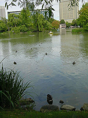 20030905_0510_thumb.jpg
