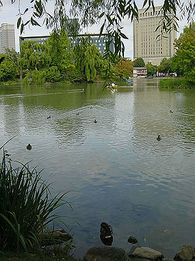 20030905_0520_thumb.jpg