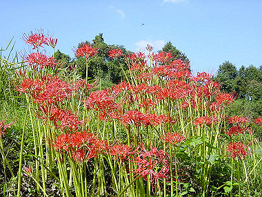20030926_090_thumb.jpg